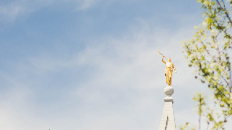 Why Is Sexual Abuse So Common In The LDS Church