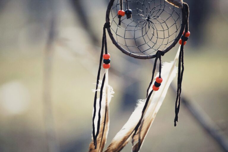 Crew Janci Indigenous Peoples Abuse Legal Updates And Insights